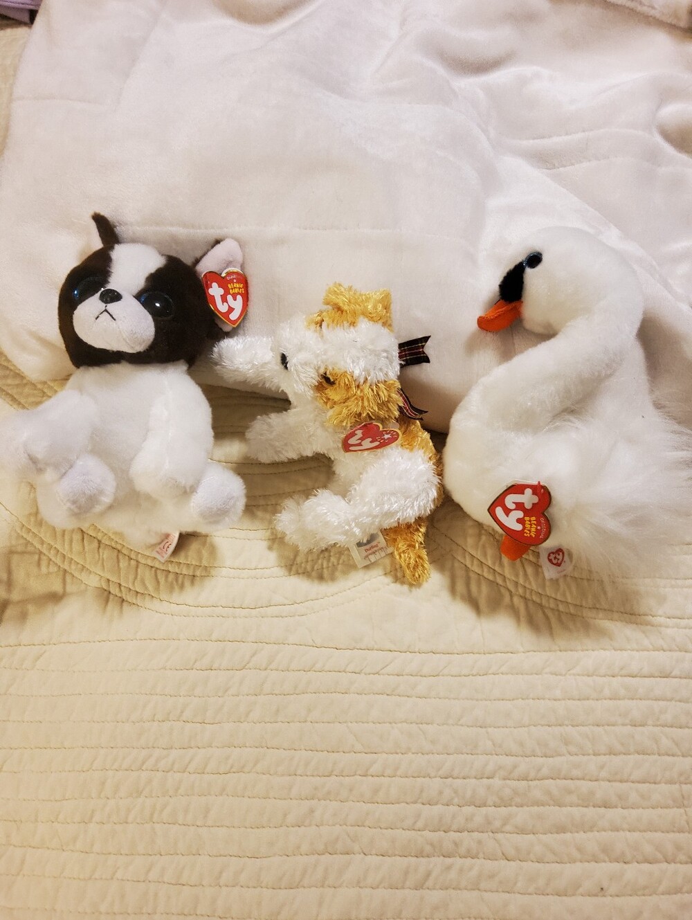 Ty Plush Beanie Babies Trio - Portia, Darling, And Gracie NWT